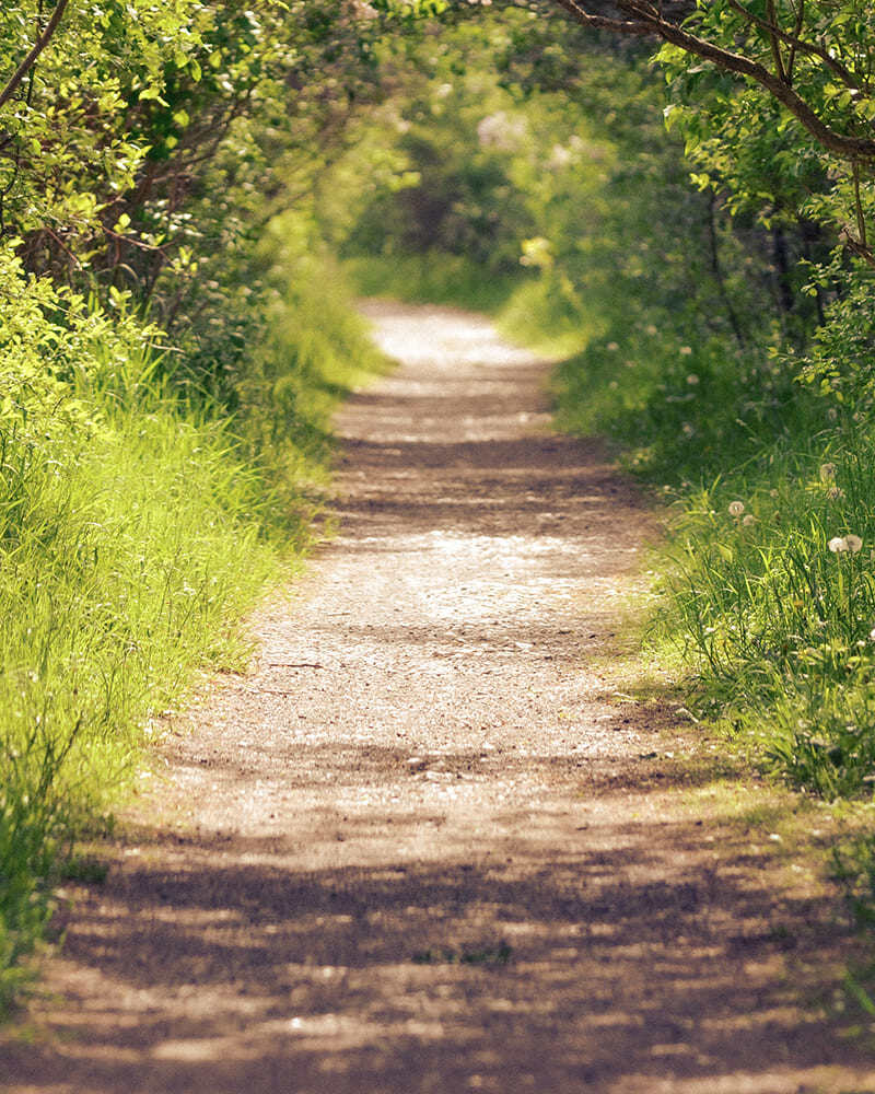 megan-lee-sHq15rZgo1g-unsplashweb1